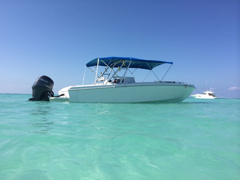 Scarab 30 ft