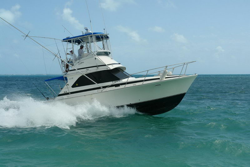 Sportfisher Bertram 34 surcando el oleaje del Caribe con pescadores en el flybridge y tangones armados frente a Cancún