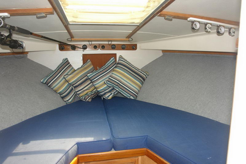 Cabina de proa en V del Bertram 34 con cojines azules, almohadas a rayas y una caña guardada para salidas con pernocta