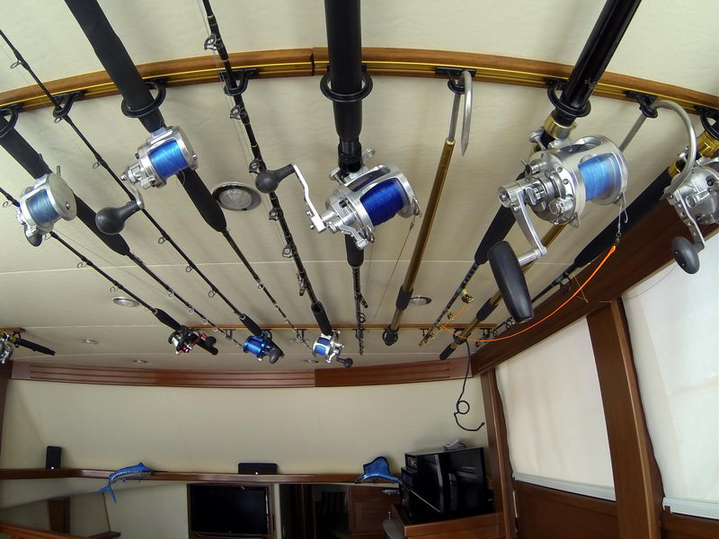 Salon ceiling of a sportfisher lined with many big-game trolling rods and reels spooled with blue line, mounted overhead in a curved rack. Below, a TV cabinet and curtained windows; interior cabin.