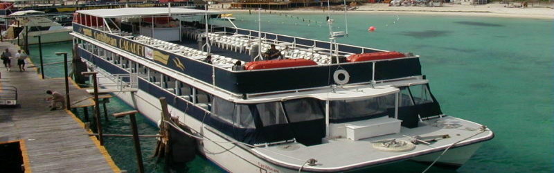 Banner-format photo of a blue and white double-deck tour boat (Caribbean Carnaval style party boat) docked at a wooden pier beside turquoise water, with a beach and pedestrians in the background.
