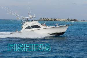 Bertram, Ocean and Hatteras sport-fishing boats rigged for marlin, sailfish, mahi-mahi and tuna off Cancun's deep Caribbean waters