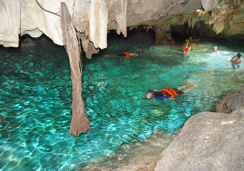 Visitors in life vests snorkeling the shallow turquoise cenote water at Aktun Chen, a hanging tree root reaching down into the pool