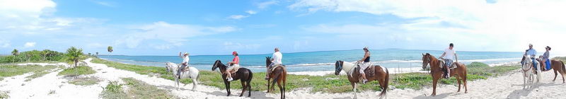 Horseback riding tour on white-sand Maroma Beach near Playa del Carmen, Riviera Maya, with turquoise Caribbean water behind