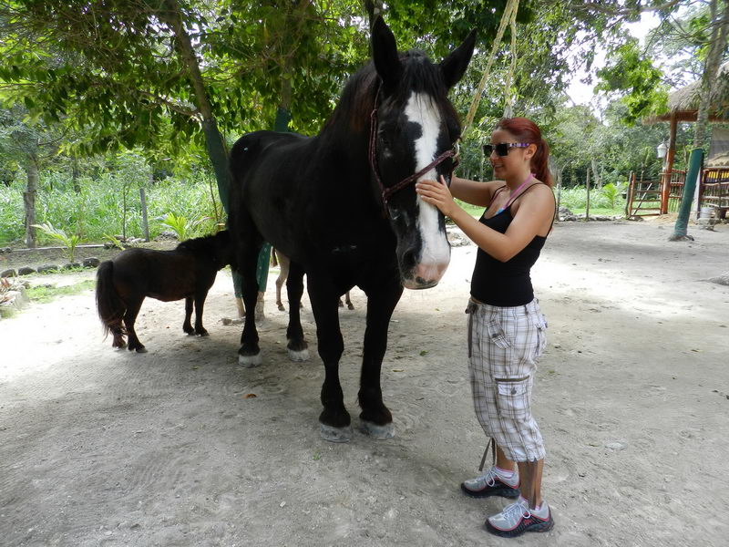 Horses and riders by the turquoise Caribbean at Maroma Beach near Playa del Carmen
