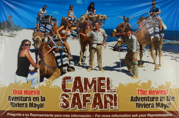 camel safari ride playa del Carmen