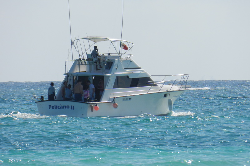 Stern view of the white sportfishing boat 'Pelicano II' with several passengers aboard, underway on choppy blue-green open sea under a clear sky.