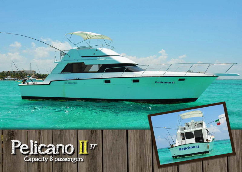 Promotional card for the 'Pelicano II' 37-foot sportfishing boat on bright turquoise water, with an inset stern photo and text reading 'Capacity 8 passengers'.