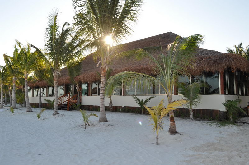 Palapa-roofed beachfront restaurant at Marina Maroma surrounded by palm trees on white sand, Riviera Maya event venue