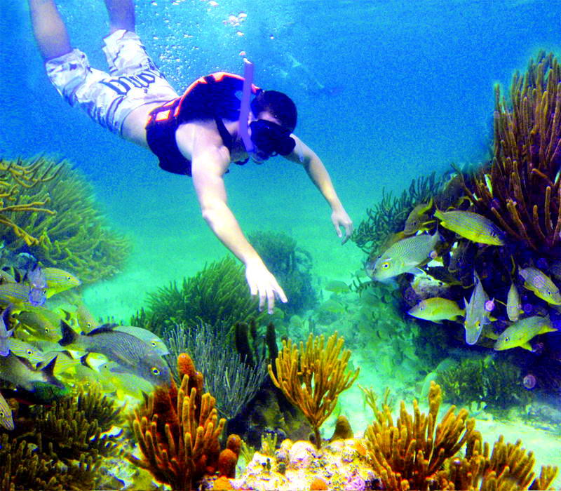 Vivid underwater reef scene: a male snorkeler in board shorts and life vest glides over a colorful coral reef teeming with schools of yellow-and-silver grunt fish, orange sponges and gorgonian corals in clear turquoise water.