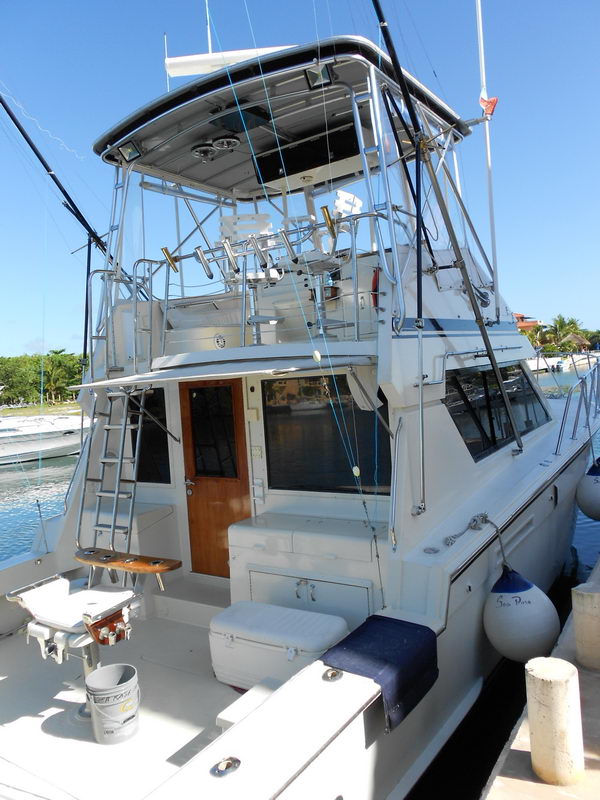 Stern-quarter view of a white sportfishing convertible showing the cockpit with a fighting chair, coolers, boarding ladder and enclosed bridge with a wood cabin door. Tuna tower and outriggers rise above; docked beside a bright sunny marina.