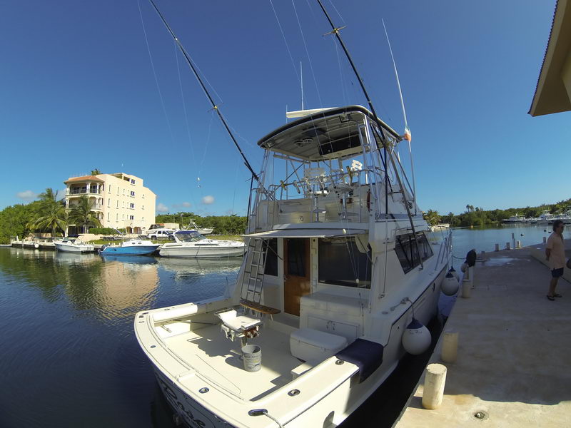 Wide-angle stern view of a white sportfishing yacht moored at a marina dock, its cockpit, coolers and enclosed bridge visible. Docked boats, waterfront condos and a person on the dock appear along the calm channel under clear blue sky.