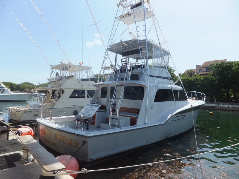 Stern view of Poverty Sucks 50 ft fishing yacht docked at Puerto Aventuras marina ready for charter Riviera Maya