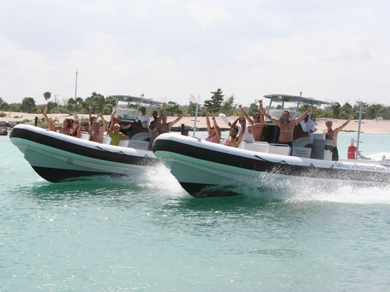 Two white-and-black RIB speedboats side by side on green turquoise water near a sandy shoreline, passengers standing and raising arms in celebration, small palms on the beach behind under a partly cloudy sky.