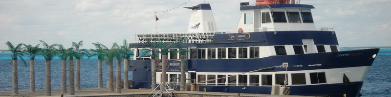 The navy-and-white triple-deck Princess (Dolphin Garrafon) event boat docked at a Cancun pier lined with palm trees beside the bay